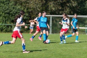 Bild 87 - wBJ VfL Pinneberg - Hamburger SV 2 : Ergebnis: 1:3